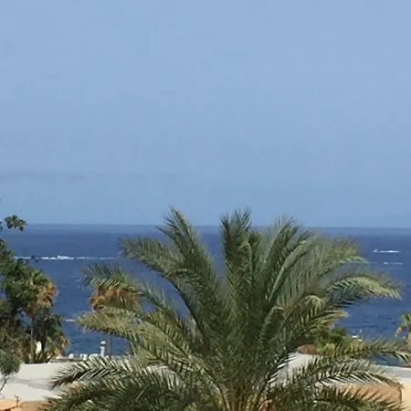 Olympia Apartament Playa de las Americas (Tenerife)
